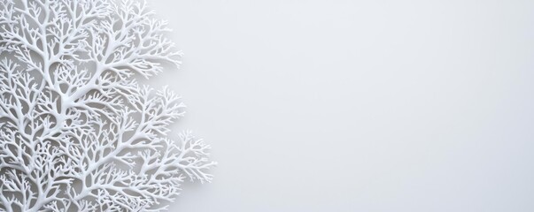 Obraz premium Negative space design abstract background concept. Elegant white coral structure on a minimalist background, symbolizing serene beauty.