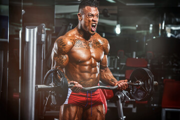 Muscular Man Lifting Weights at the Gym