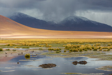Northern Chile