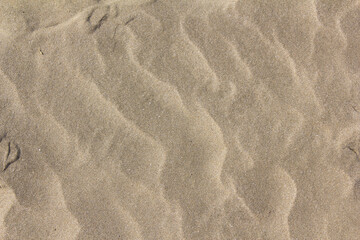 A close-up of the sand on the beach.