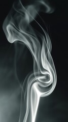 Obraz premium Elegant curling tendrils of smoke drifting slowly into the air in a serene environment