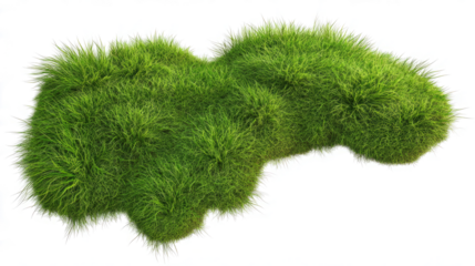 3D rendering of grass 
