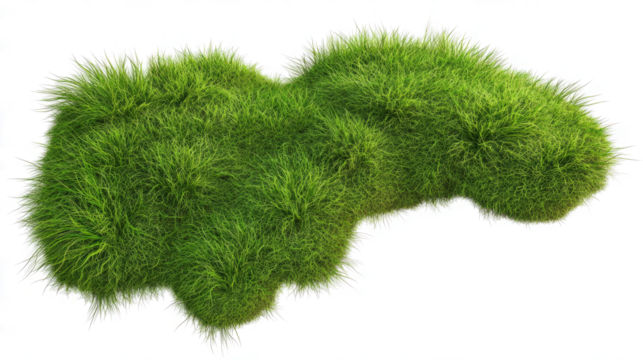 3D rendering of grass 