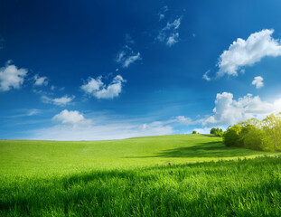 Obraz premium Generated image 風にそよぐ新緑