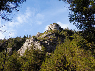 Majestic Rocky Mountain Peak Rising Above Pine Forest Under Blue Sky in Alpine Wilderness