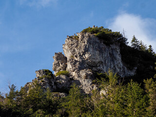 Rugged Limestone Mountain Ridge with Multiple Rocky Peaks Rising Above Spring Forest Under Bright Blue Sky