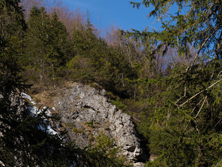 Rugged Mountain Creek With Mossy Rocks And Spring Vegetation In Pristine Wilderness