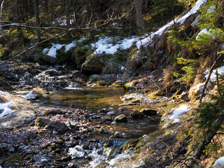 Mountain Stream with Melting Snow and Rocky Riverbed in Early Spring Forest