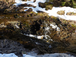 Close-up of Alpine Stream with Melting Snow and Early Spring Vegetation Emerging in Mountain Terrain