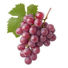 Fototapeta premium Fresh red grapes on a green vine leaf, white isolated background.