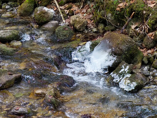 Crystal Clear Mountain Stream Flowing Through Mossy Rocks Creating Natural Rapids in Forest...