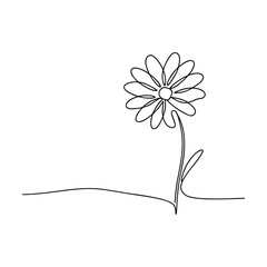 Single Line Drawing Minimalist Daisy Flower Bloom Art