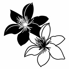 black and white flowers