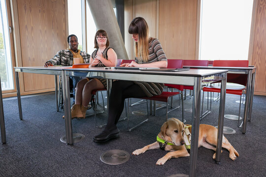 Disabled coworkers in modern office