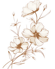 Creative 2D Doodle Floral Illustrations on White Background