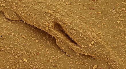 Obraz premium A close up of a sandy surface with a hole in it