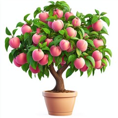 Vibrant Peach Tree in Bloom with Juicy Fruits and Green Leaves in a Decorative Pot for Home and Garden Decor