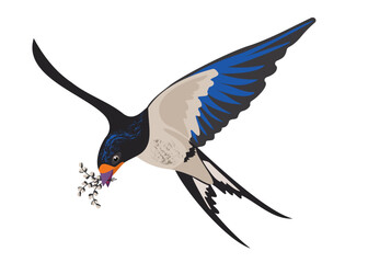 Swallow with bright blue feathers carries in its beak sprigs of fluffy willow. Vector isolated texture vector drawing of bird carrying spring.  Beautiful color drawing of feathered bird trendy style