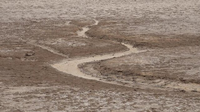 Close-up of arid landscape of Chott El Djerid, the largest salt pan in the Sahara located in Tunisia
