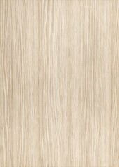 Fototapeta premium Oak wood textured design background