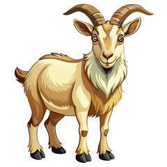 goat isolated on white background