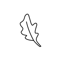 hand drawn leaf outline