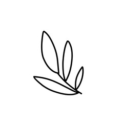 hand drawn leaf outline