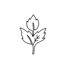 hand drawn leaf outline