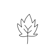 hand drawn leaf outline