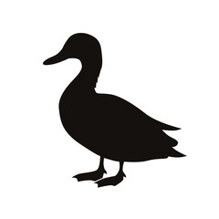 Duck silhouette vector illustration on white background