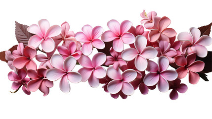 Pink Plumeria Flowers Elegant Floral Arrangement, Soft Pastel Design for Nature Themes.