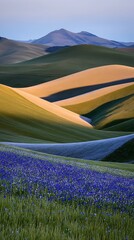 Naklejka premium Stunning field of vibrant flowers blooming in the desert surrounded by arid landscape and sunlight