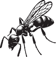 Black Ant Silhouette Vector, High Quality Illustration on White Background