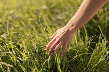 Printed roller blinds A hand lightly touches vibrant green grass, conveying a sense of peace and connection with nature in a sunlit field.