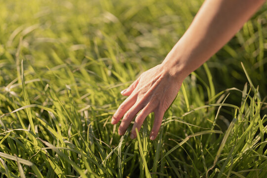 A hand lightly touches vibrant green grass, conveying a sense of peace and connection with nature in a sunlit field.