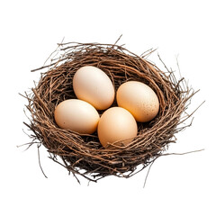 A bird's nest with eggs, isolated on a transparent background, showcasing delicate details and natural textures