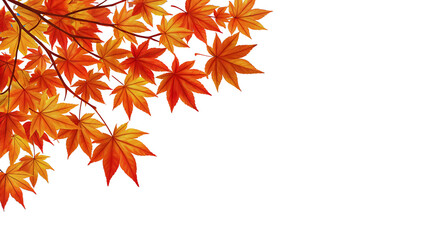 Autumn Maple Leaves Branch Corner Design, Fall Foliage Illustration, Black Background