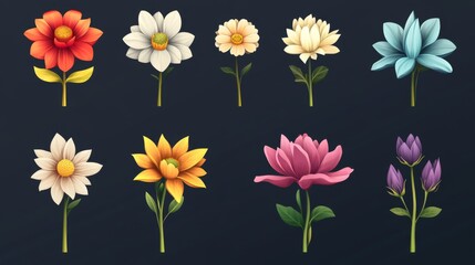Obraz premium Assorted colorful flowers on dark background for botanical art or floral design
