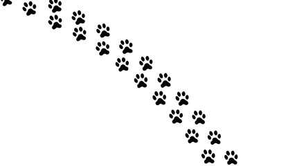 A Trail of White Paw Prints on a Black Background Animal Tracks Graphic Design Illustration