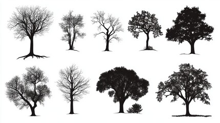 Fototapeta premium Silhouette collection of diverse tree shapes for nature and design concepts