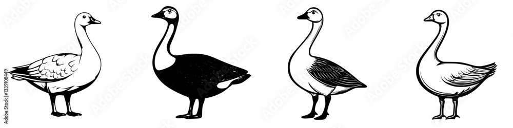 Poster different types of ducks and geese standing in a row showcasing their unique shapes and colors