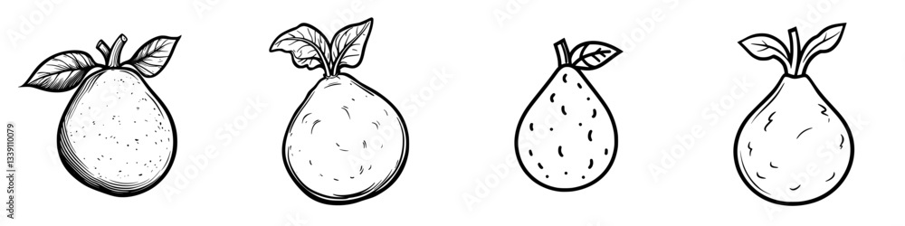 Poster various sketches of pears displayed in a linear arrangement showcasing their unique shapes and featu