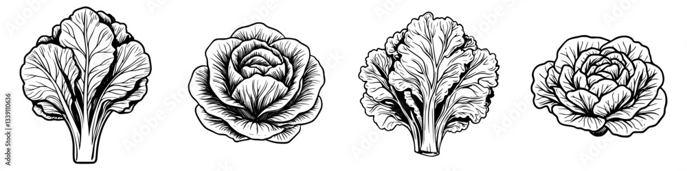 Aufkleber various lettuce types displayed in a botanical illustration style with intricate details and texture