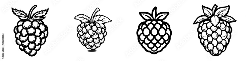 Poster various illustrations of raspberries in different styles showcasing their unique shapes and textures