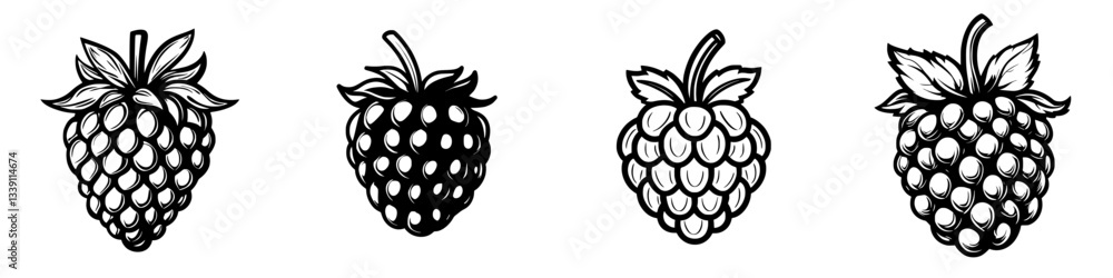Poster illustrations of blackberries demonstrating differing styles and textures from a left side perspecti
