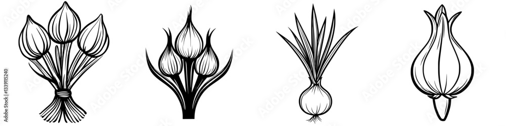 Poster illustrations of various types of onions showcasing artistic representations of their shapes and for