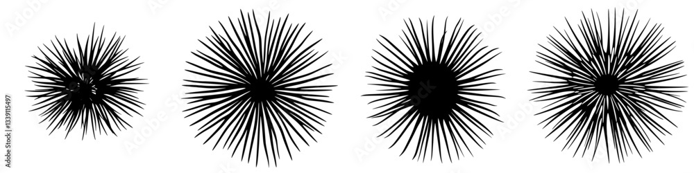 Poster intricate black illustrations of burst-like shapes with varying dynamics and textures in a simple la