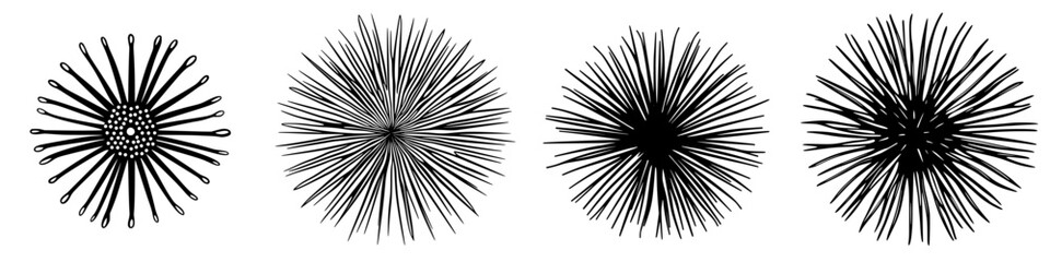 Artistic exploration of starburst designs in black and white against a plain background showcasing various shapes