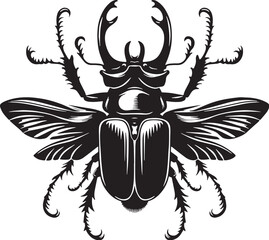 Black Beetle Silhouette Vector, High Quality Illustration on White Background