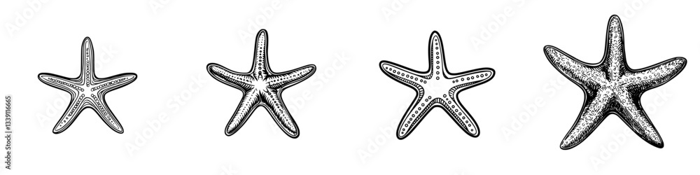 Poster different types of starfish illustrated in black and white displaying unique patterns and forms in a